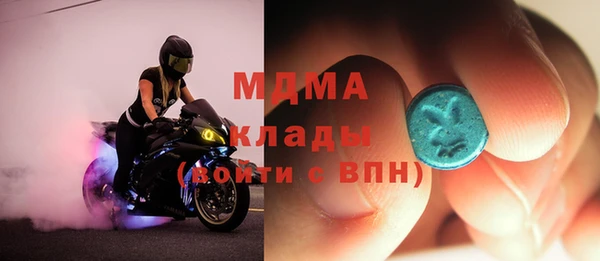 шишки Гусев