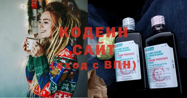 шишки Гусев