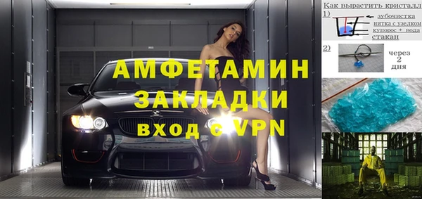 шишки Гусев